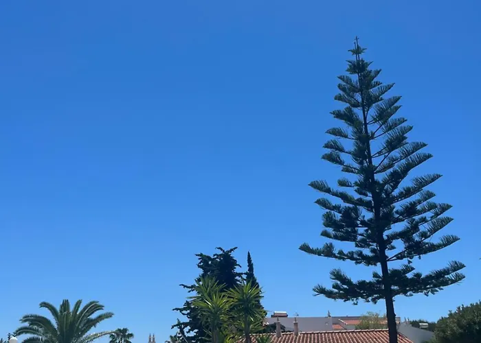 Casa Oliveira - Algarve