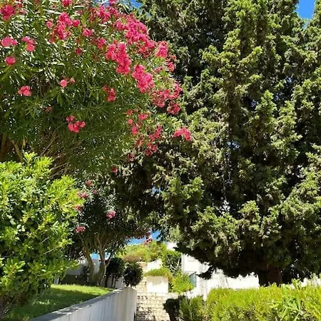 公寓 Casa Oliveira - Algarve *