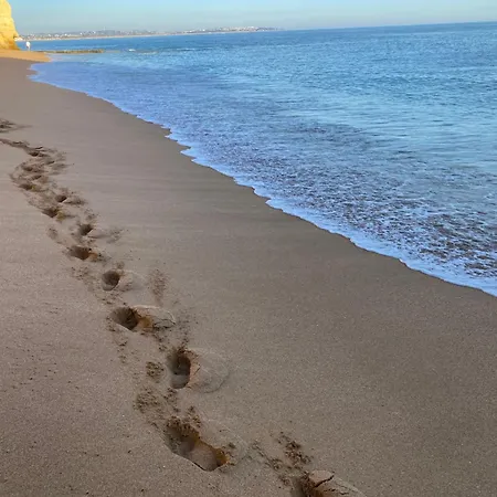 Casa Oliveira - Algarve 公寓 珀彻斯