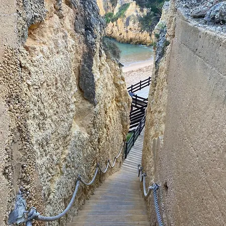 Casa Oliveira - Algarve * 珀彻斯