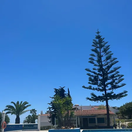 Casa Oliveira - Algarve