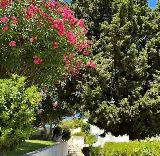 Apartament Casa Oliveira - Algarve *